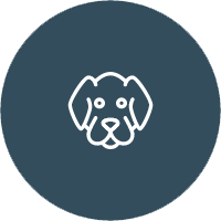 Private Dog Training Single Sessions