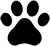 Dog Paw